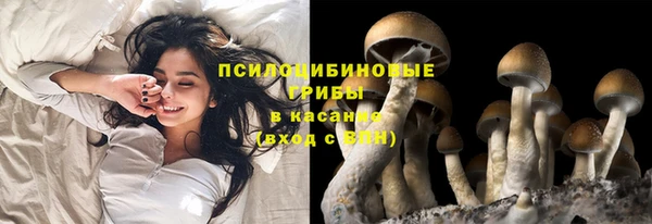 эйфоретик Армянск
