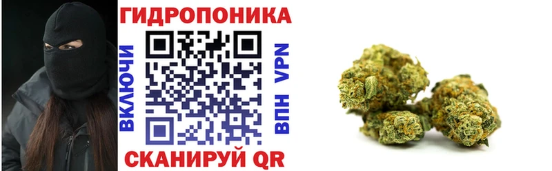блэк спрут ссылки  Сясьстрой  Каннабис Amnesia  купить  